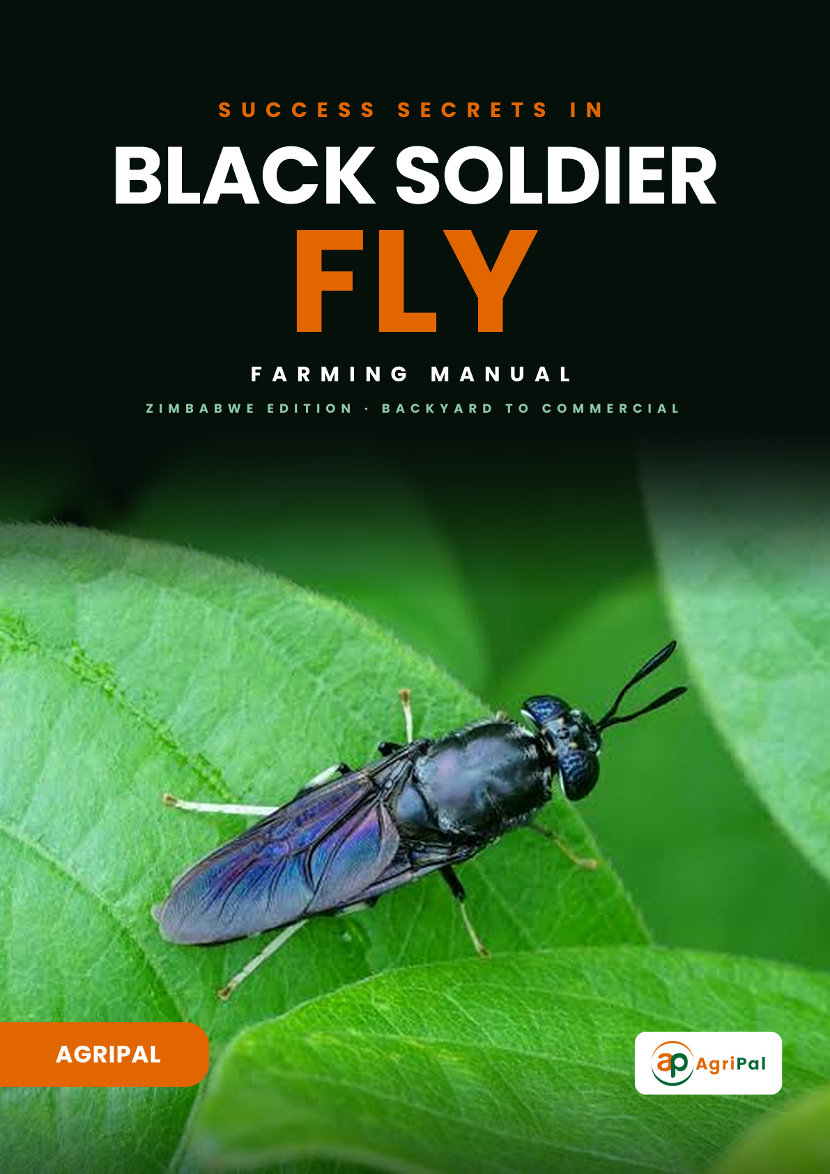 Success Secrets in Black Soldier Fly Farming cover
